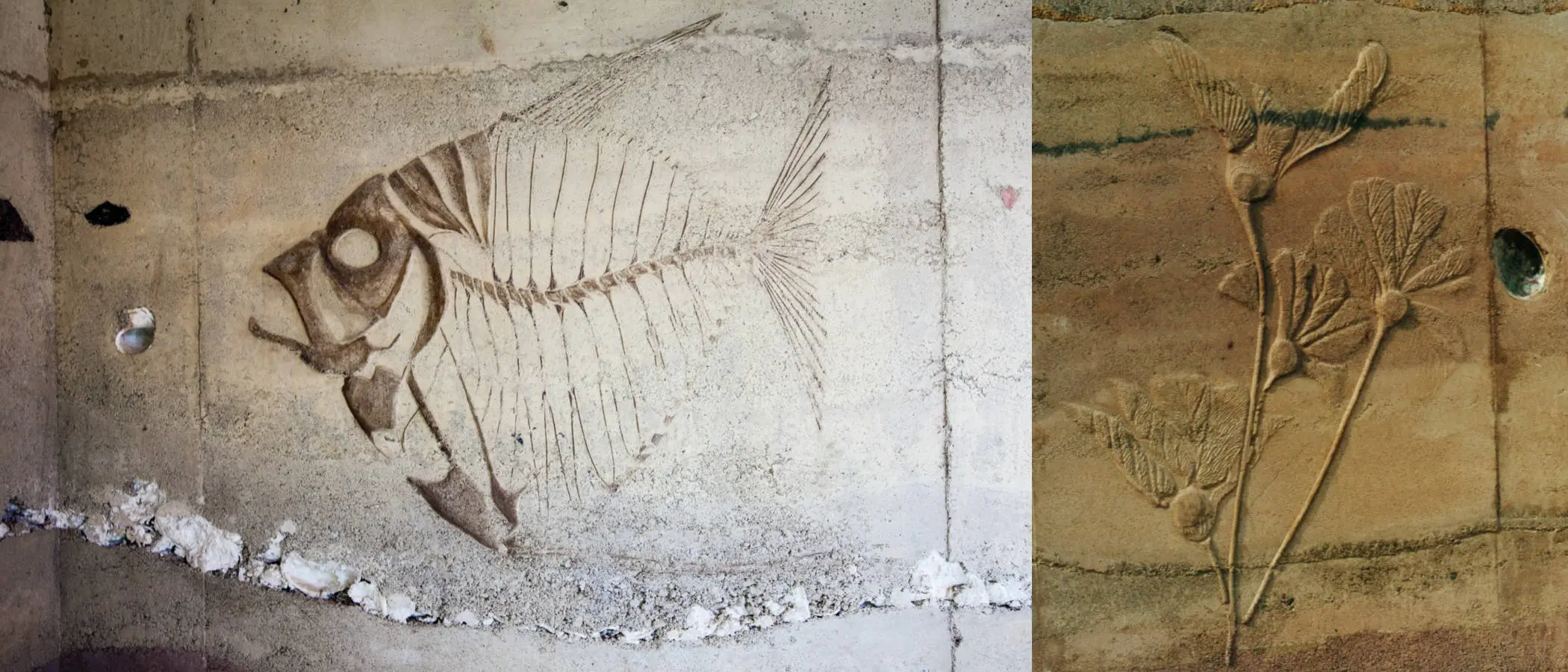 SIREWALL close up details