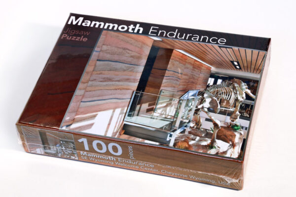 photo of puzzle box with mammoth skeleton