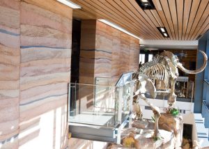 Southeast Wyoming Welcome Center - interior view with wooly mammoth skeleton